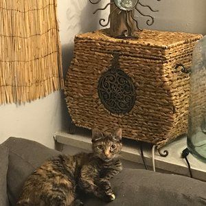 Meet your Posher, Adam